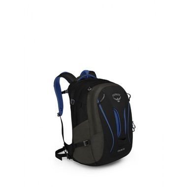 OSPREY CELESTE-BLACK ORCHID